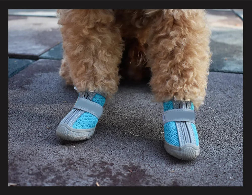 小型犬用犬用靴🐕