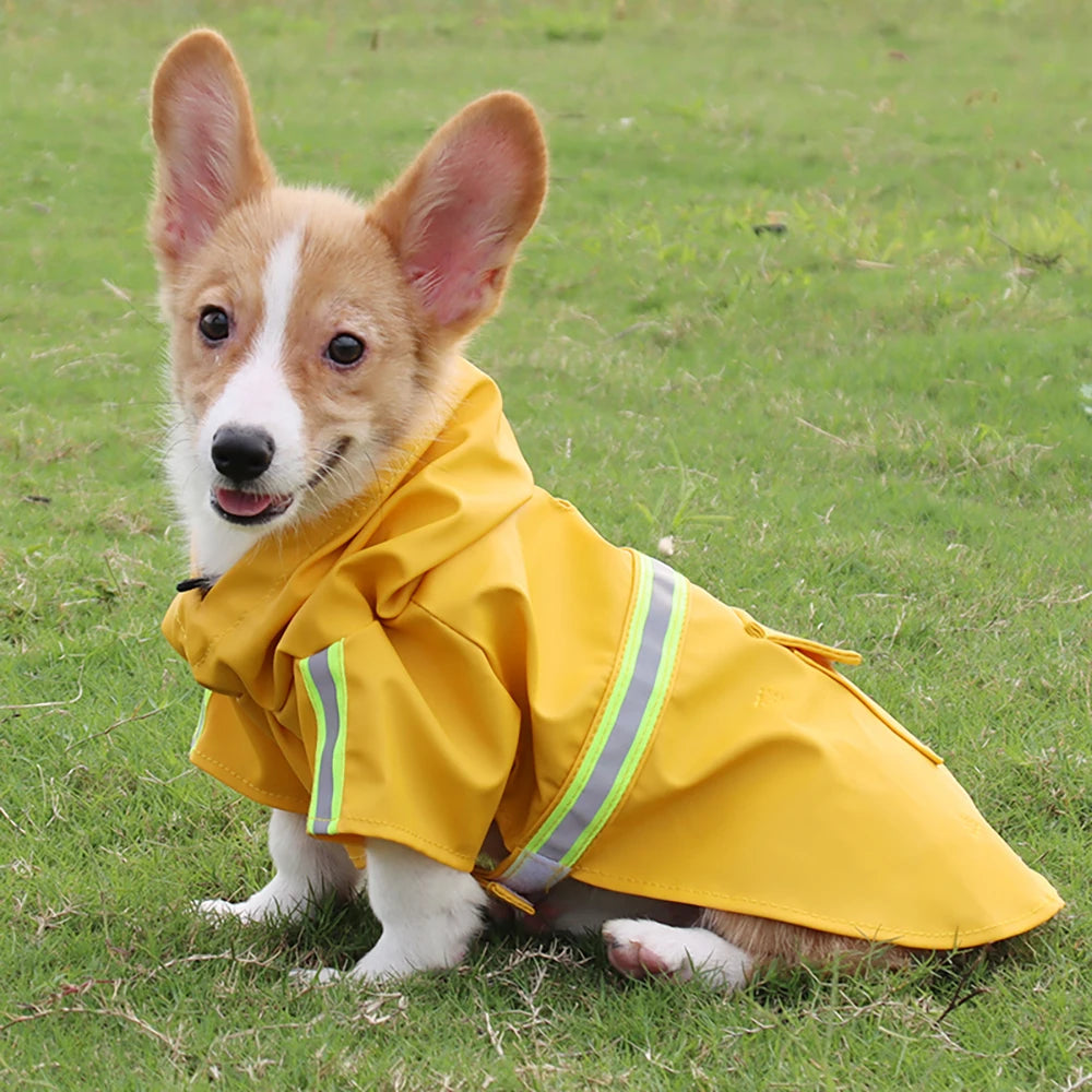 大型犬用レインコート