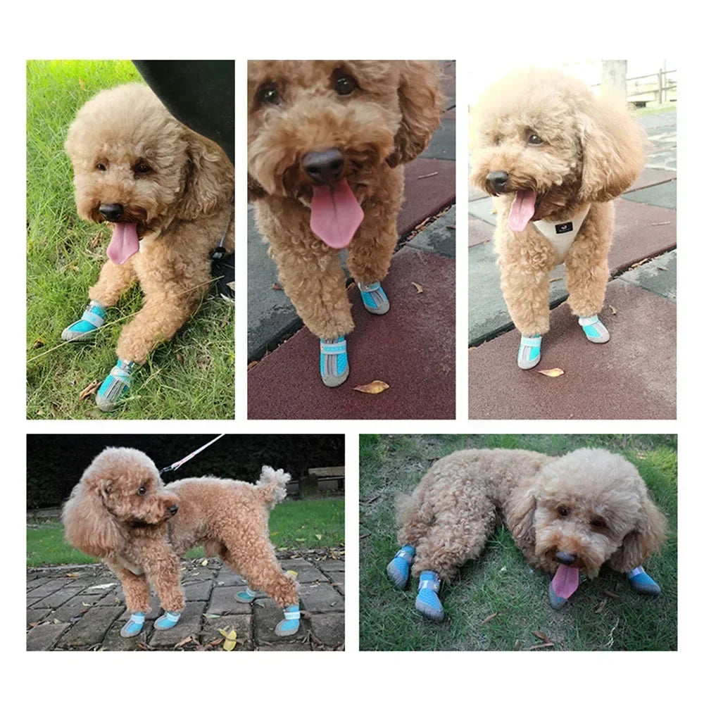 小型犬用犬用靴🐕