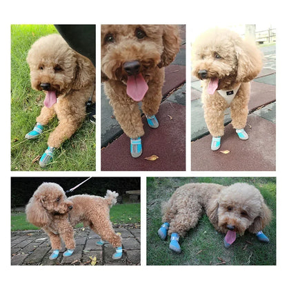 小型犬用犬用靴🐕